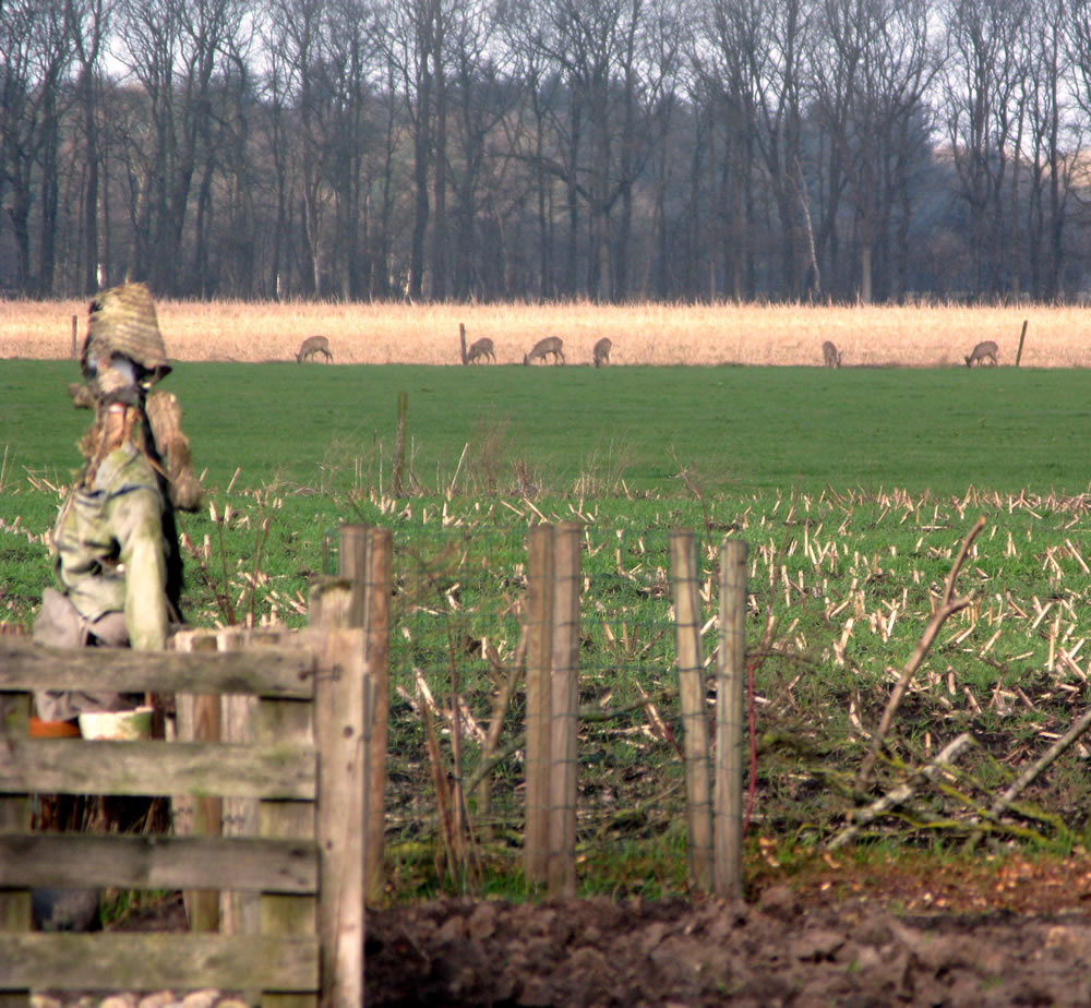 Groepsaccommodatie natuur